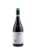 Agricola Brandini Rocche Del Santo Barbera d'Alba Superiore DOC 2020 BIO magnum 1.5L